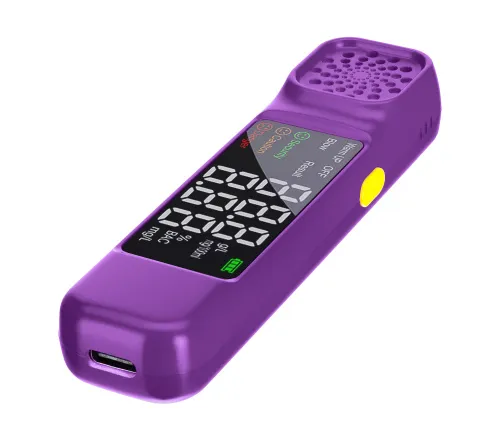 obraz Alkomat Ermenrich Seek AT20, obraz 3